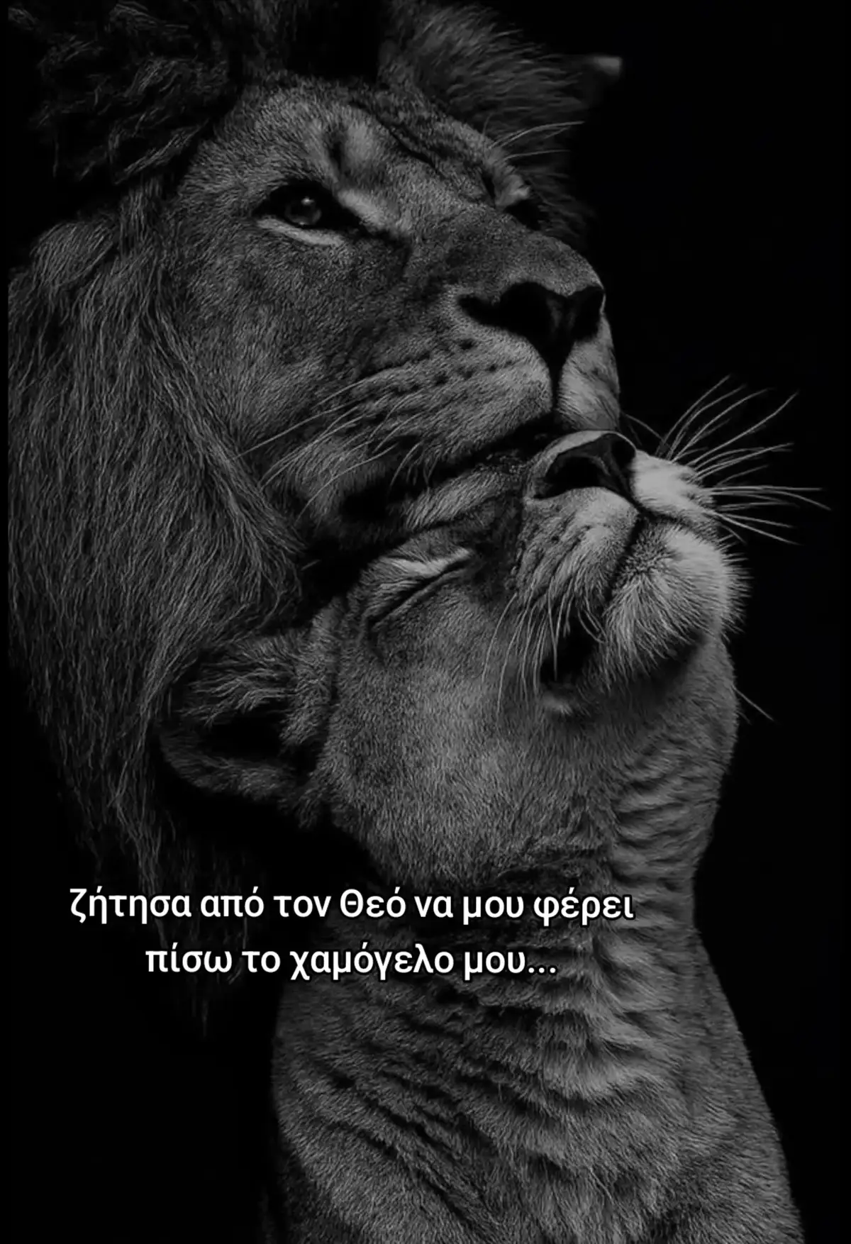 @dimopoulou._