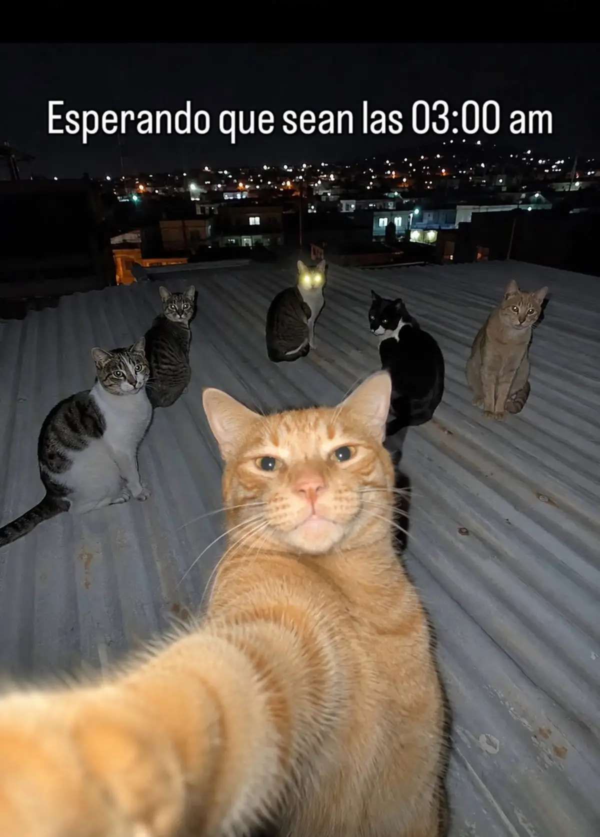 @alexander___espinal