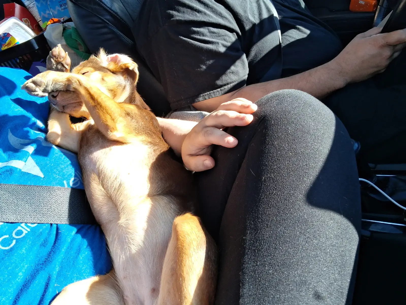 @Victoria Diane
