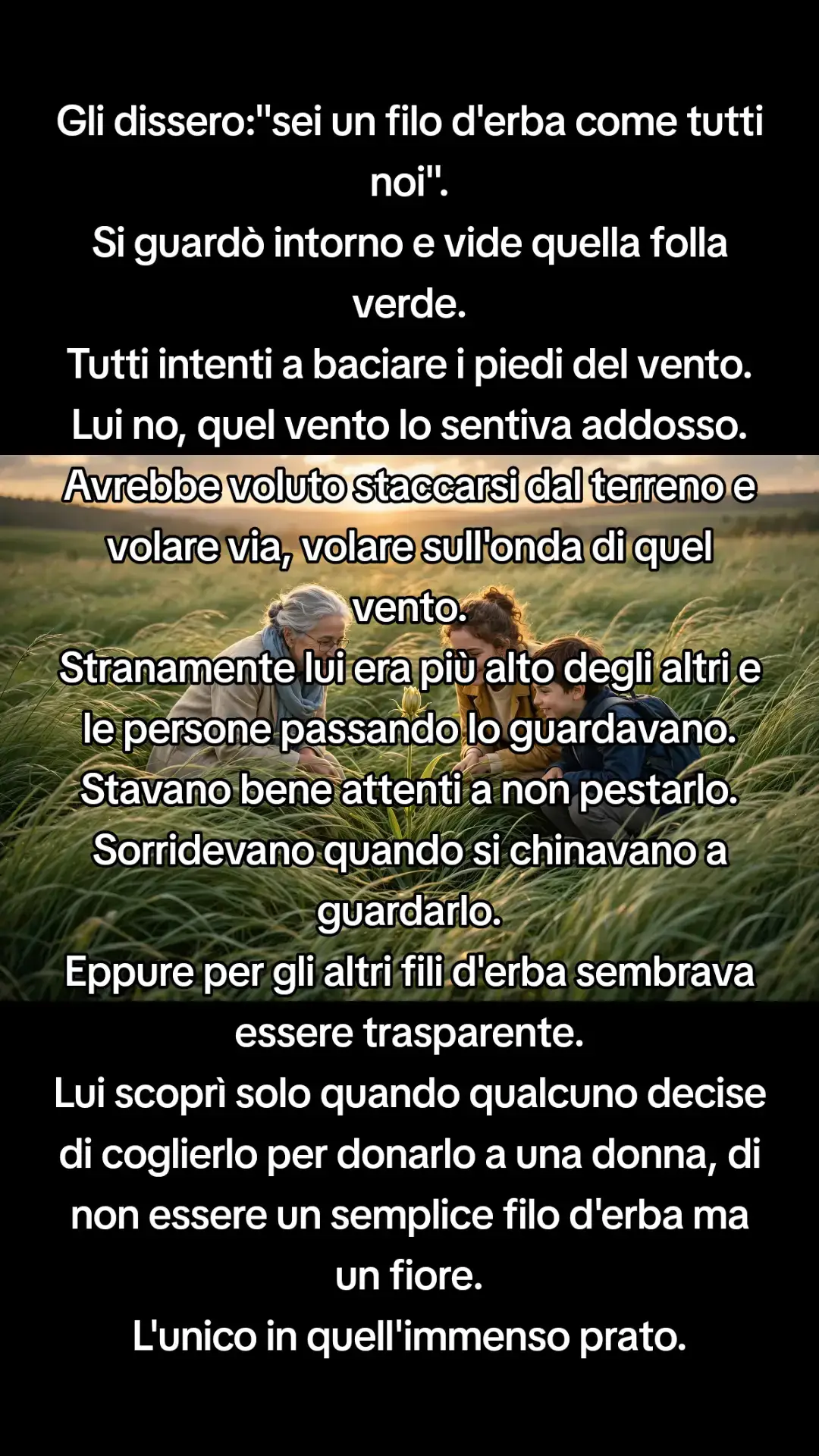 @Piantao