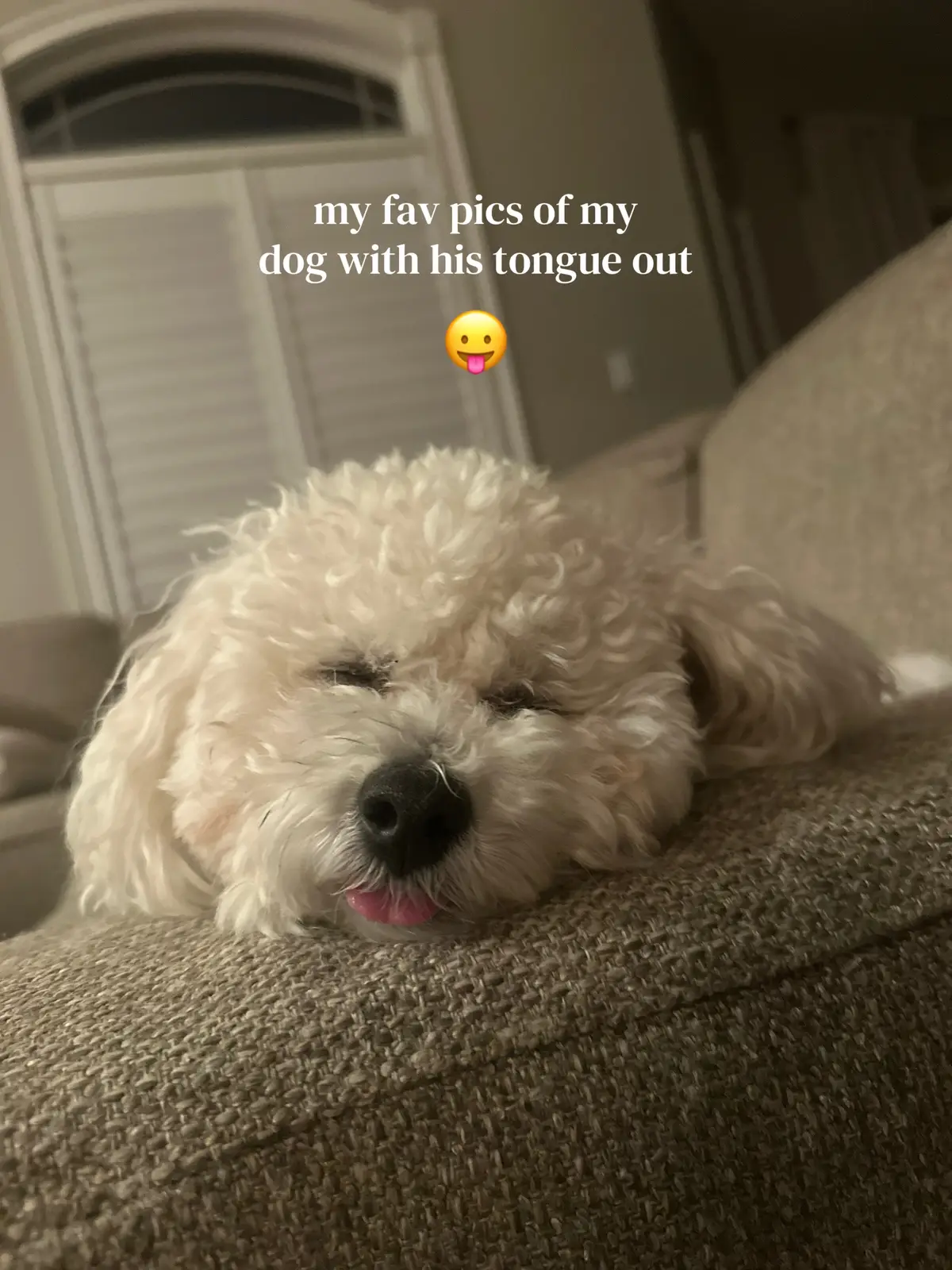 @kyliewegner