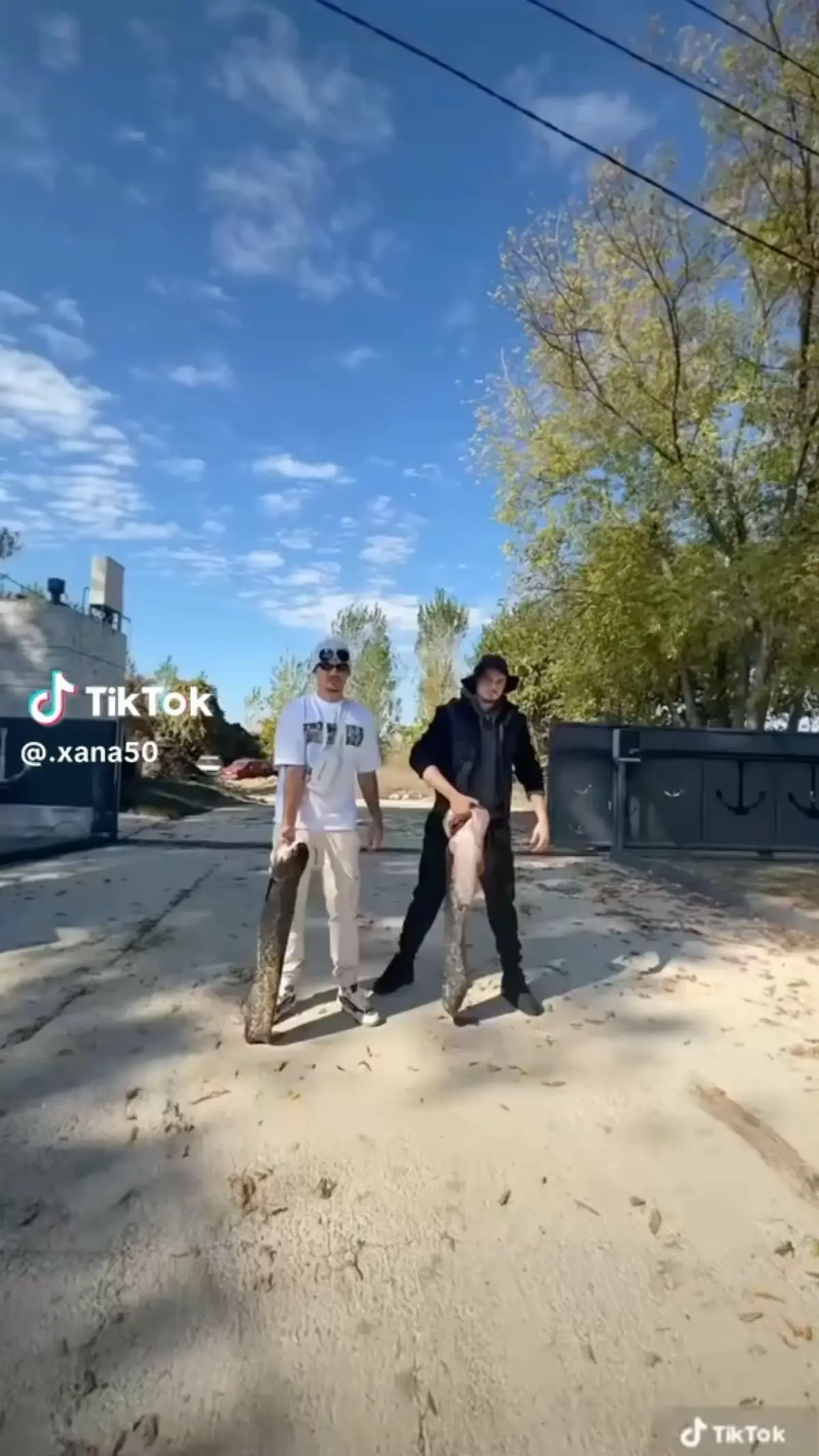 @Marija Ω1986🦅