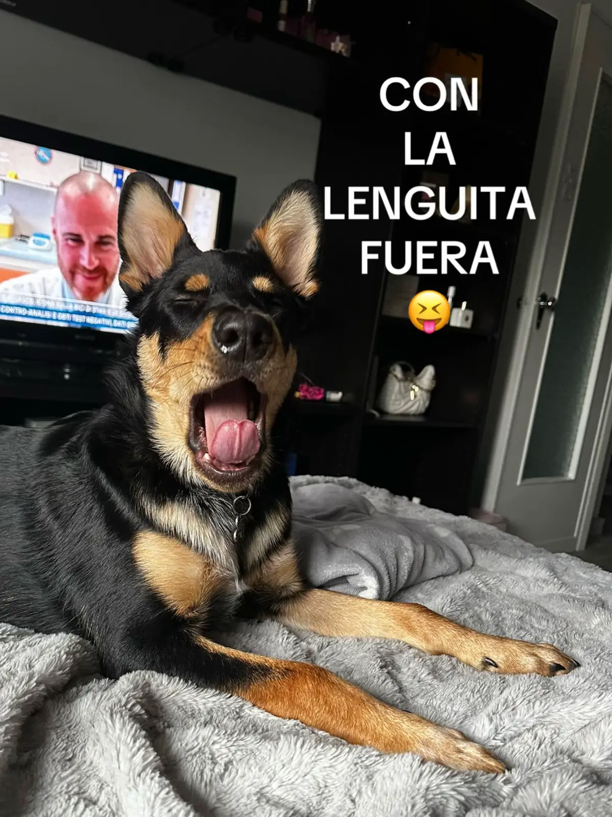 @Valentina