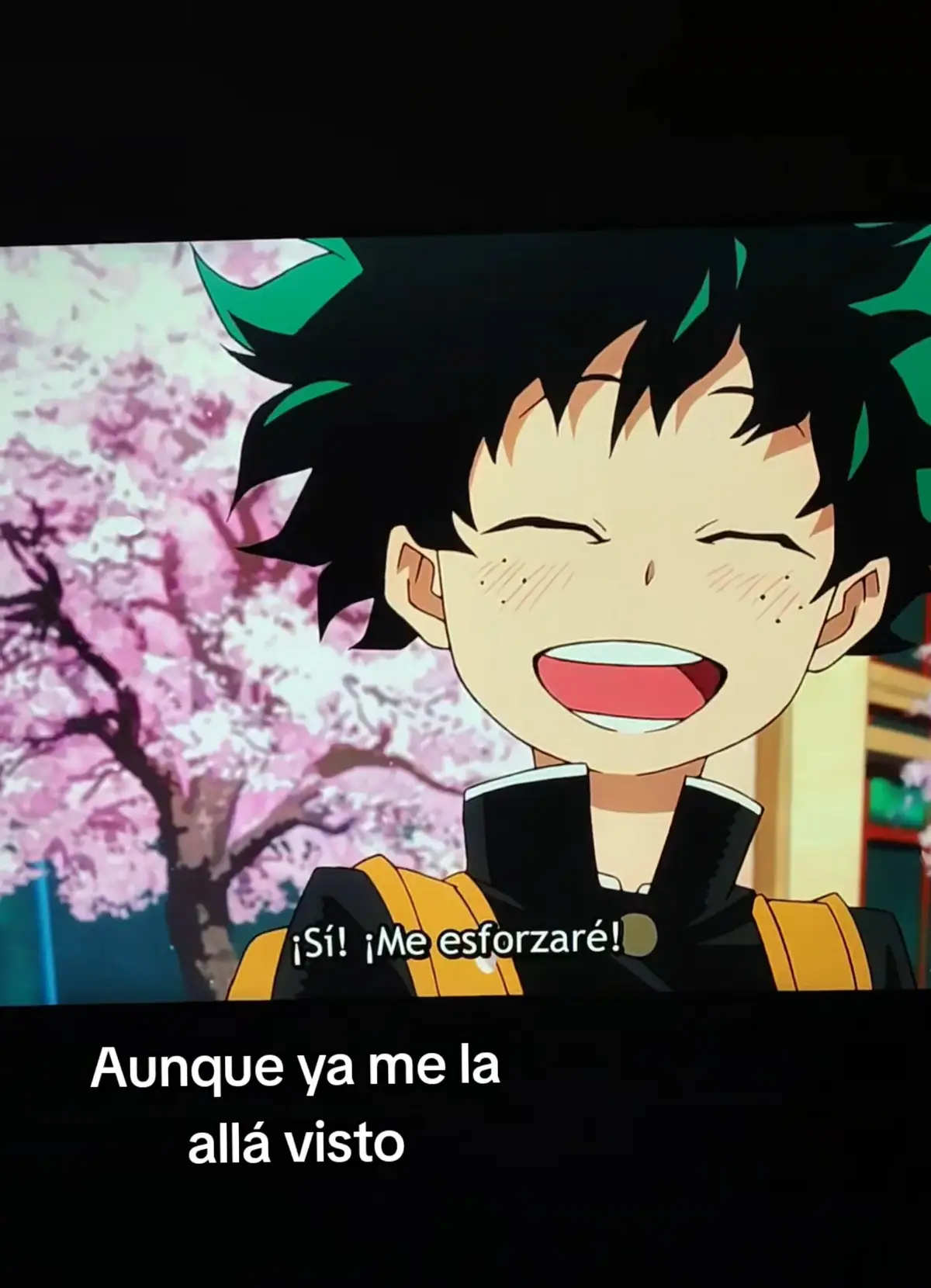 @izuku_aldu