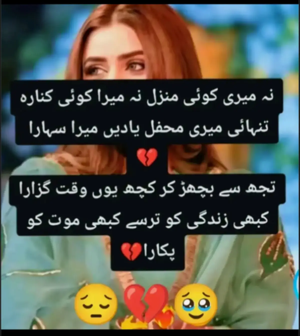 @Hassan Hussain💞