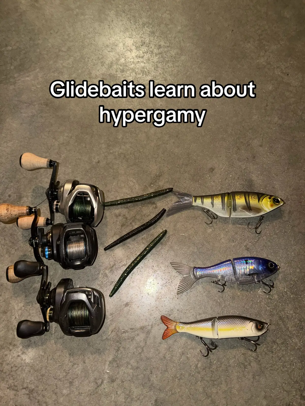 @FattBassFishing