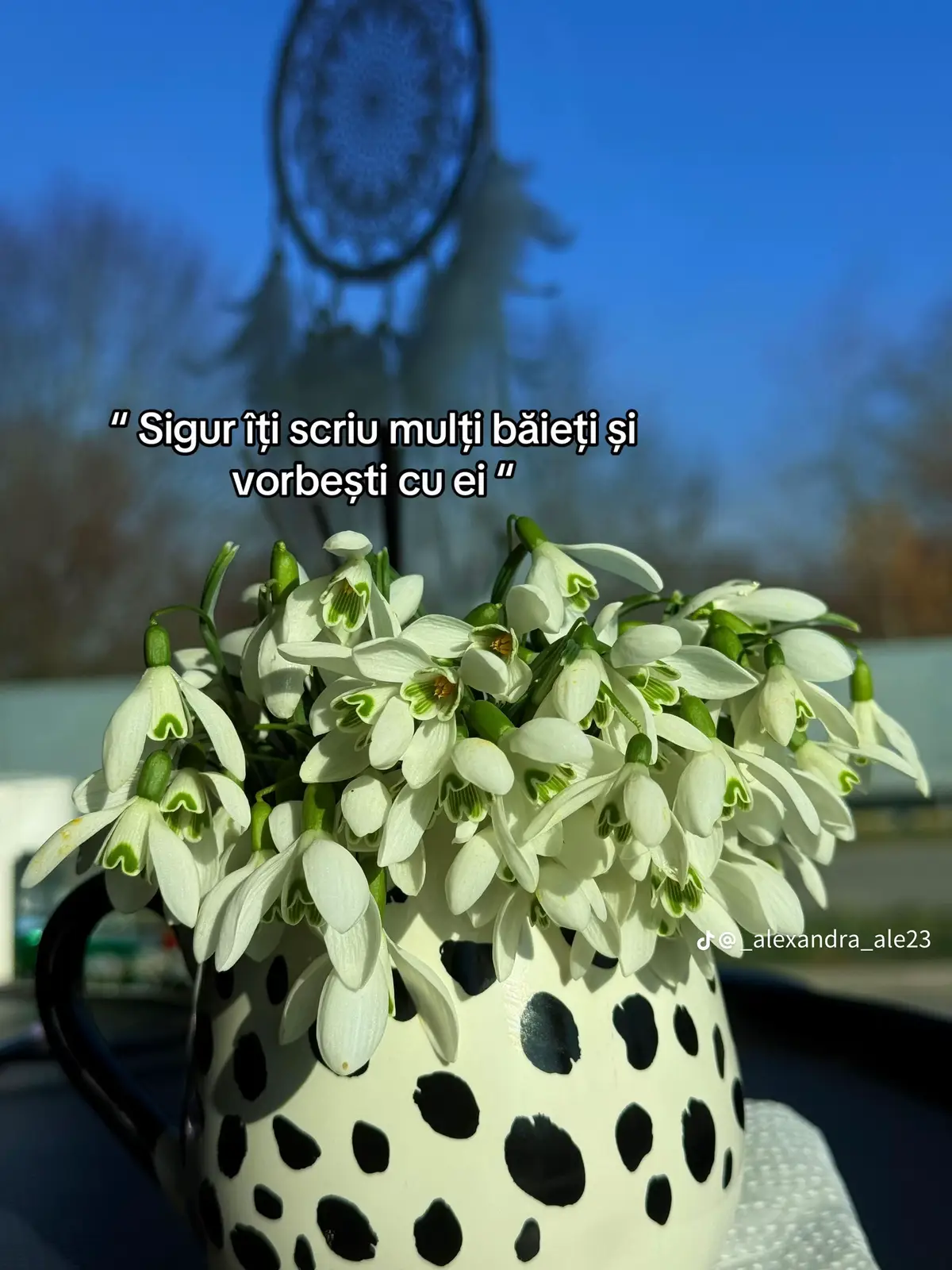 @🦋🎀Cristina🦋🎀