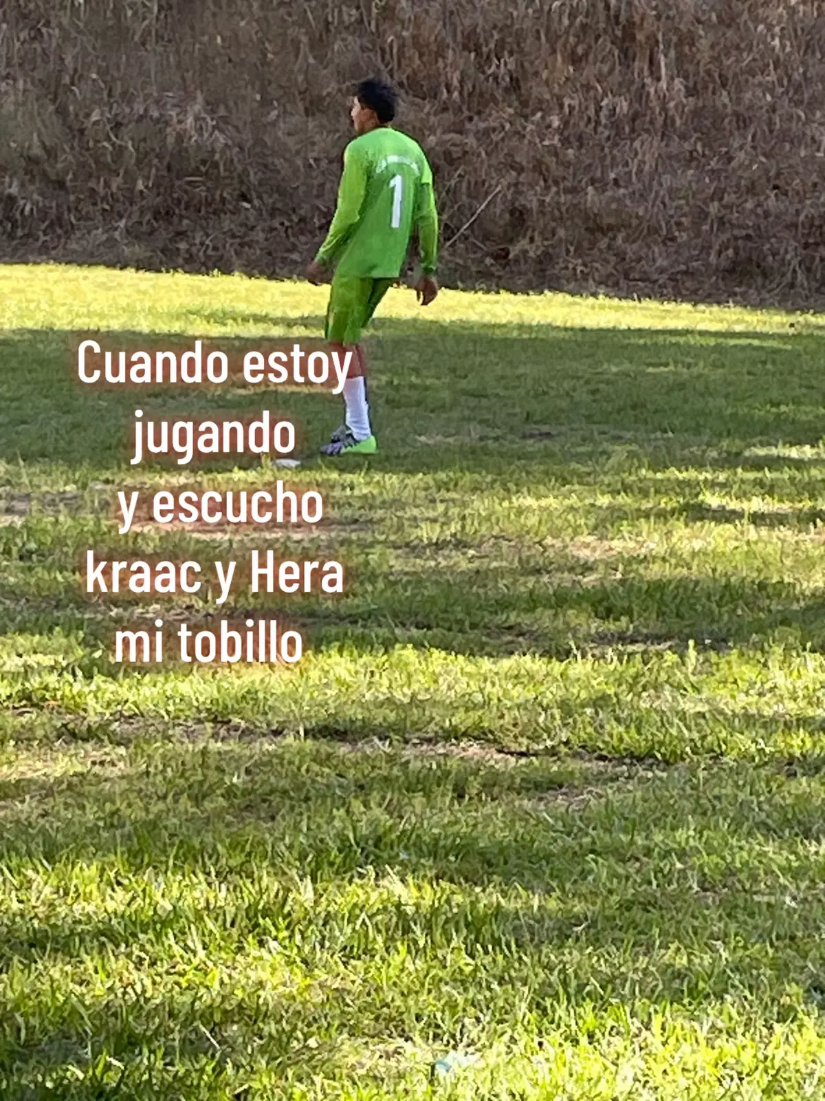 @N 🕸️