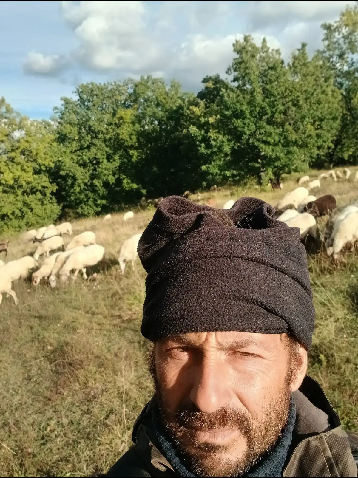 @Amato della vecchia