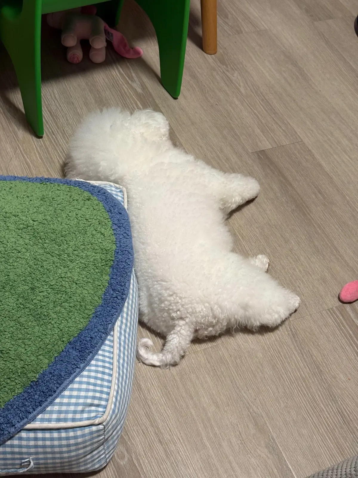 @Lin