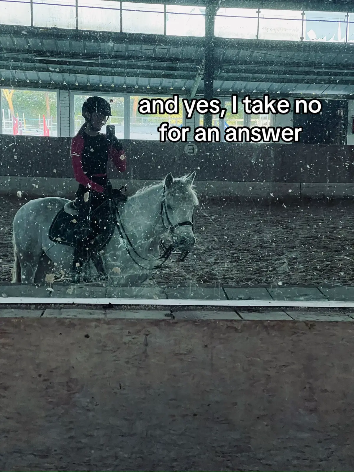 @SchimmelponyParadise