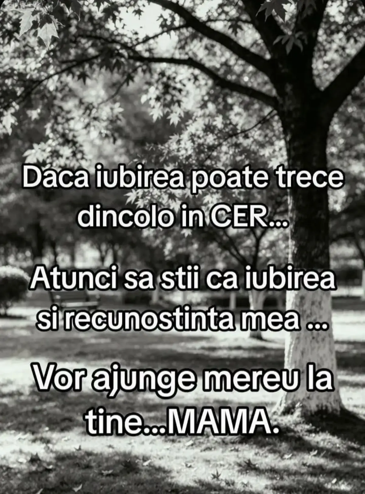 @Asmarandei Iuliana