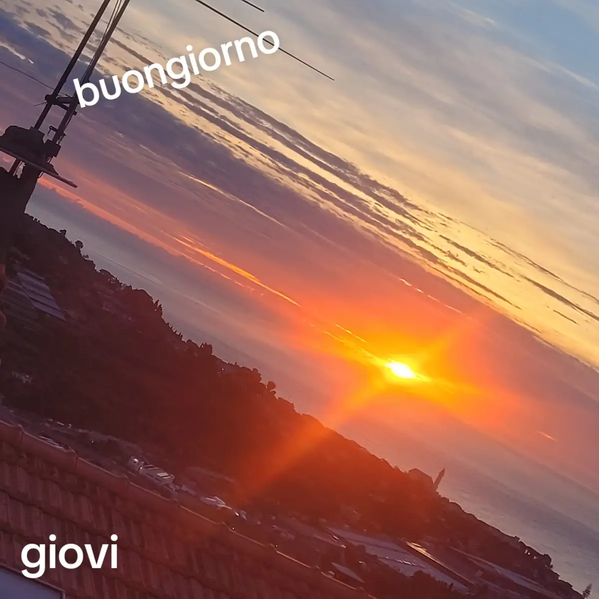 @giovi