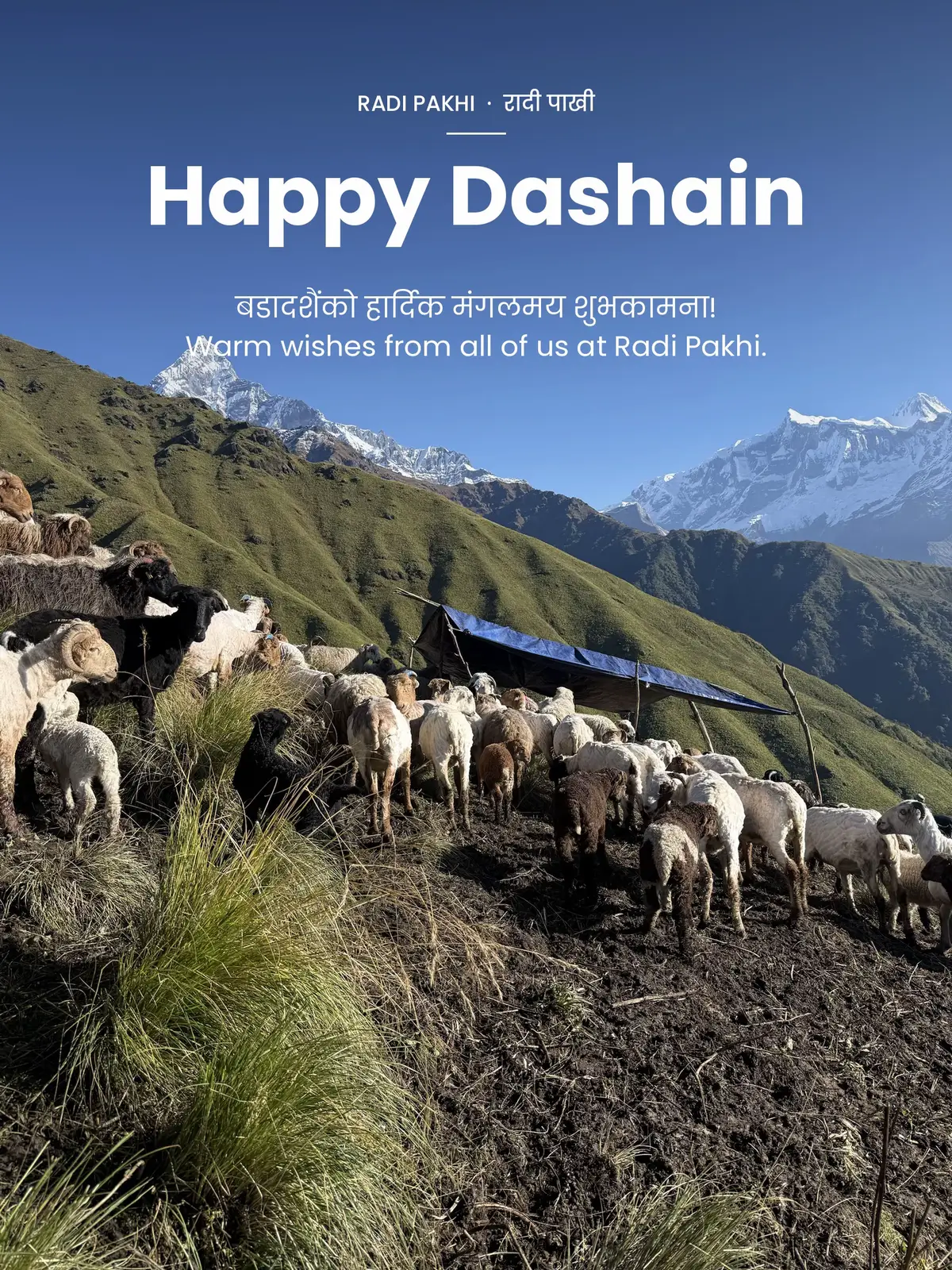 @RadiPakhiकुसुम राडीपाखी उद्योग