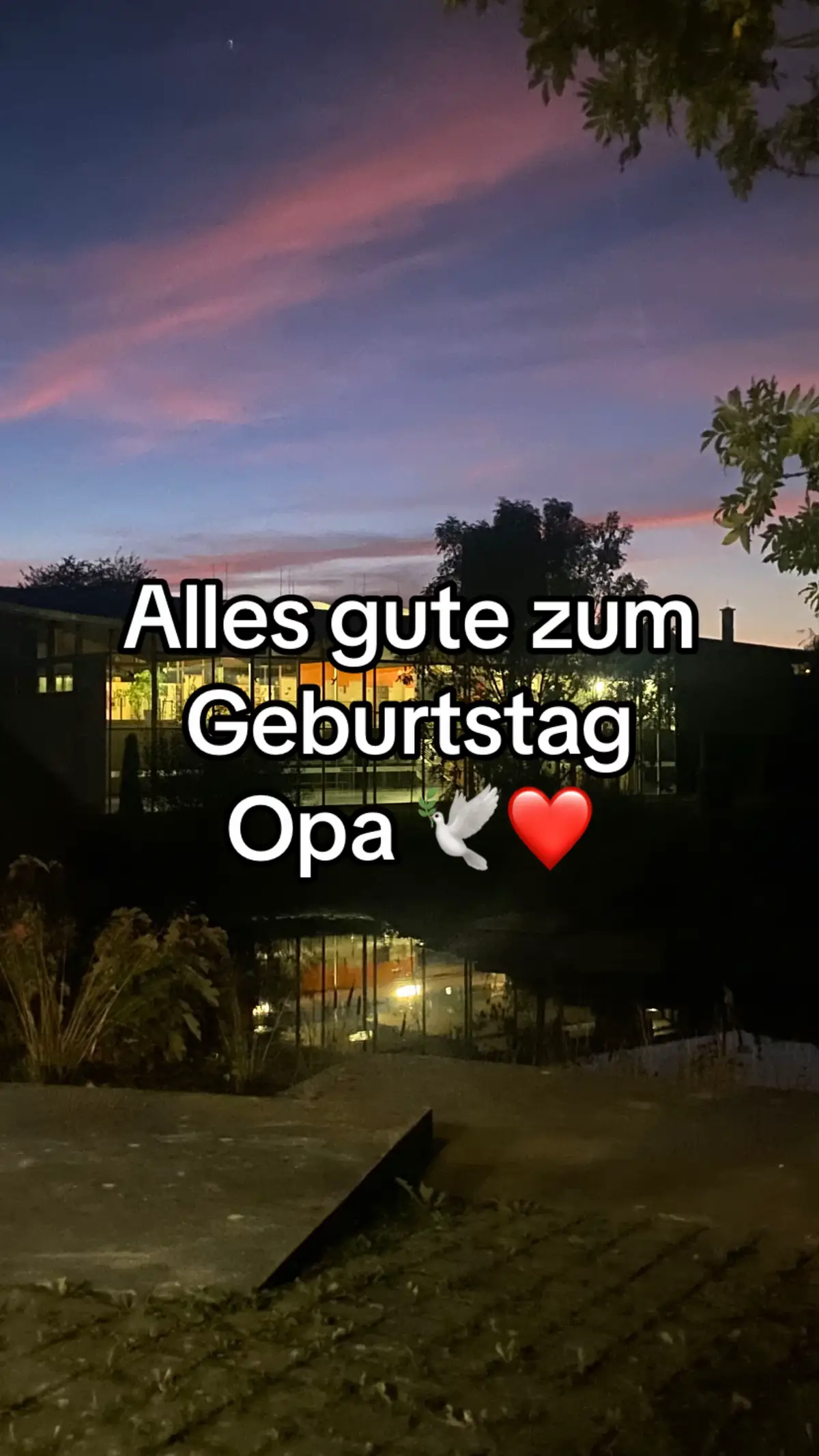 @Detolix