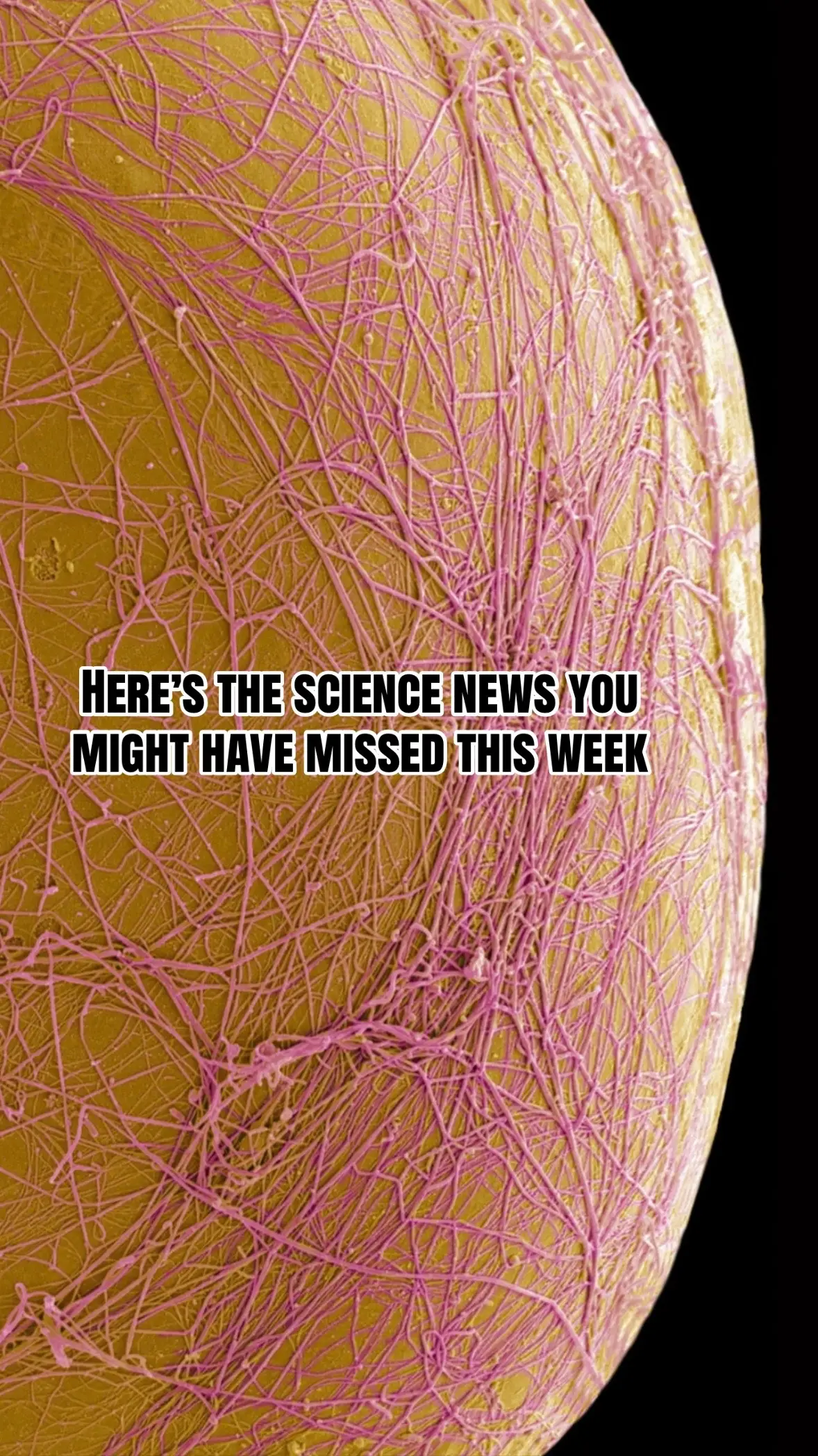 @Science News
