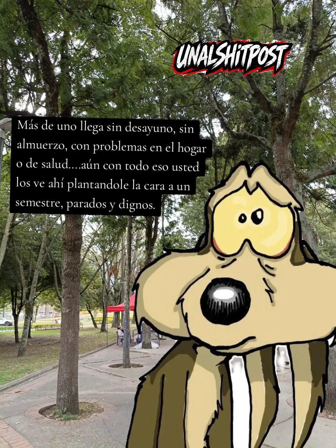 @UNALSHIT
