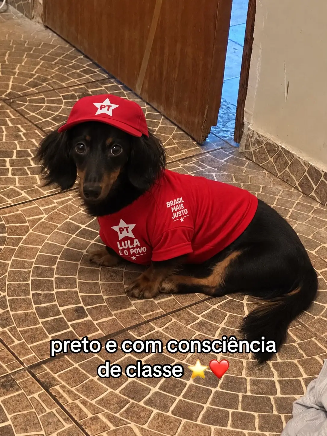 @𝓓𝓪𝓷𝓭𝓪
