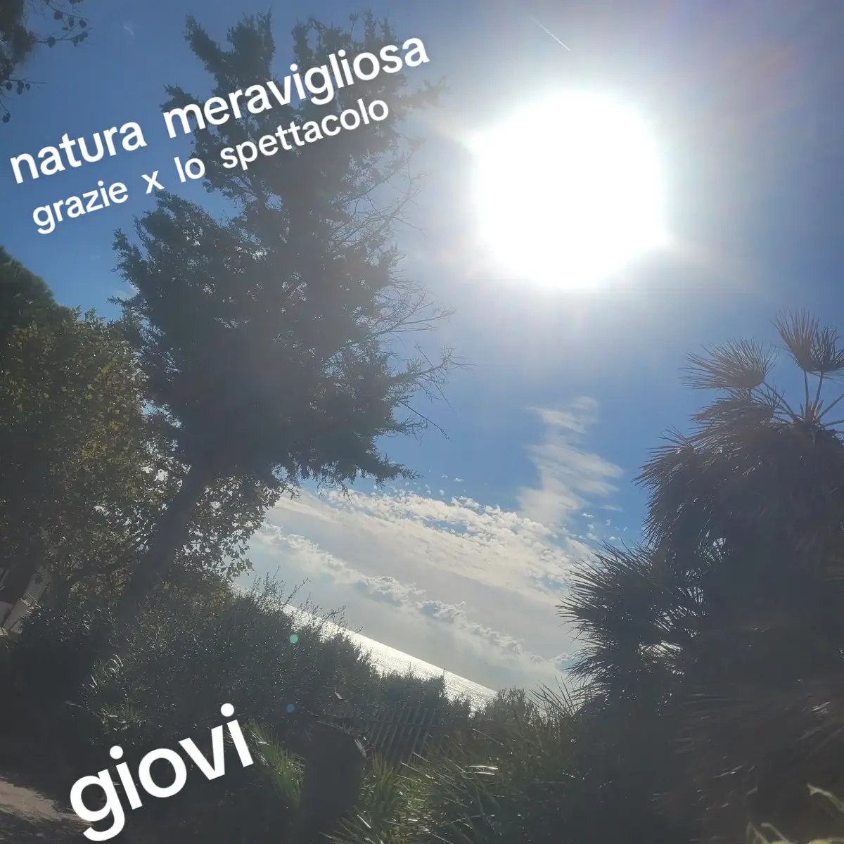 @giovi