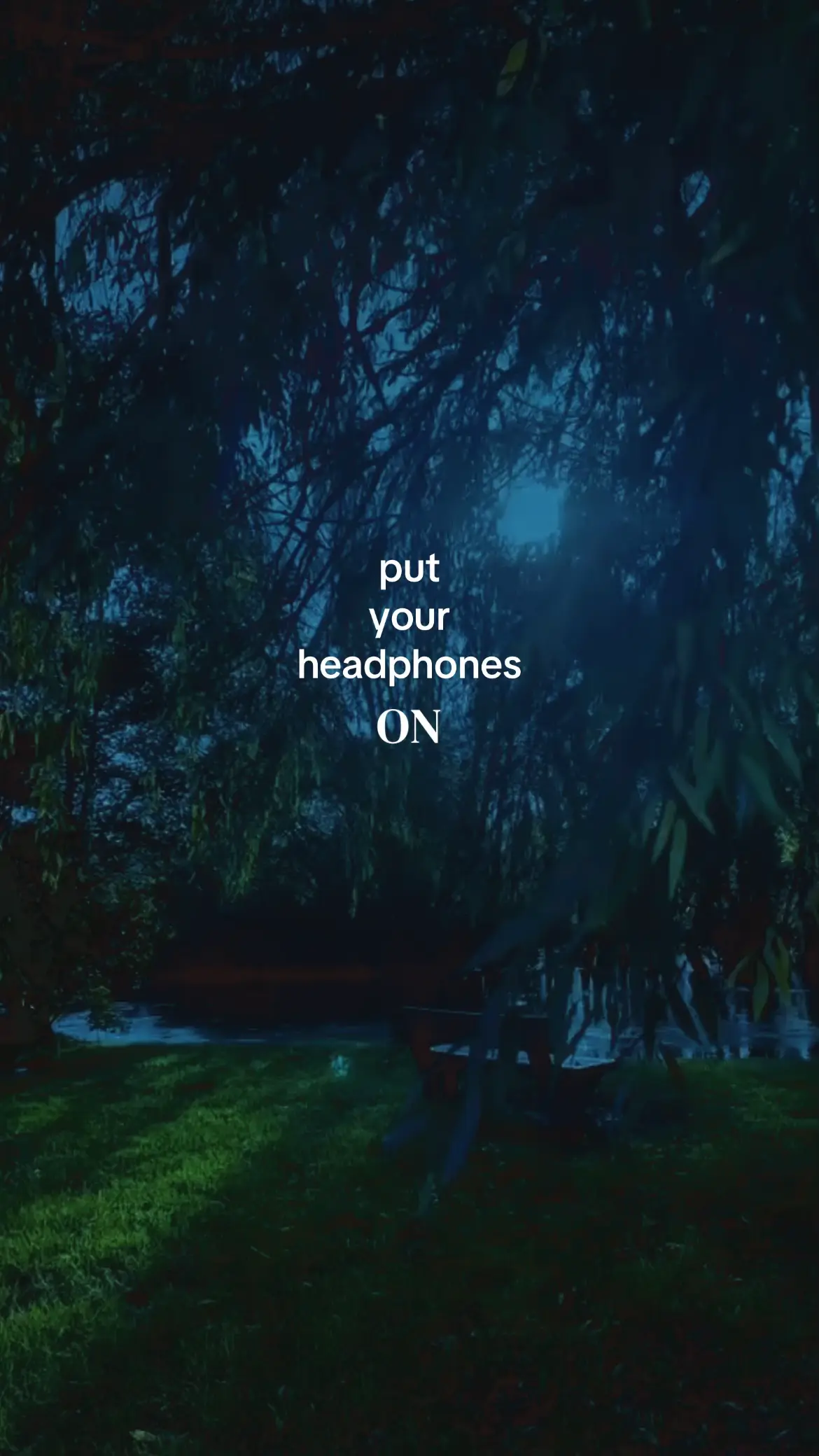 @sntn_editt