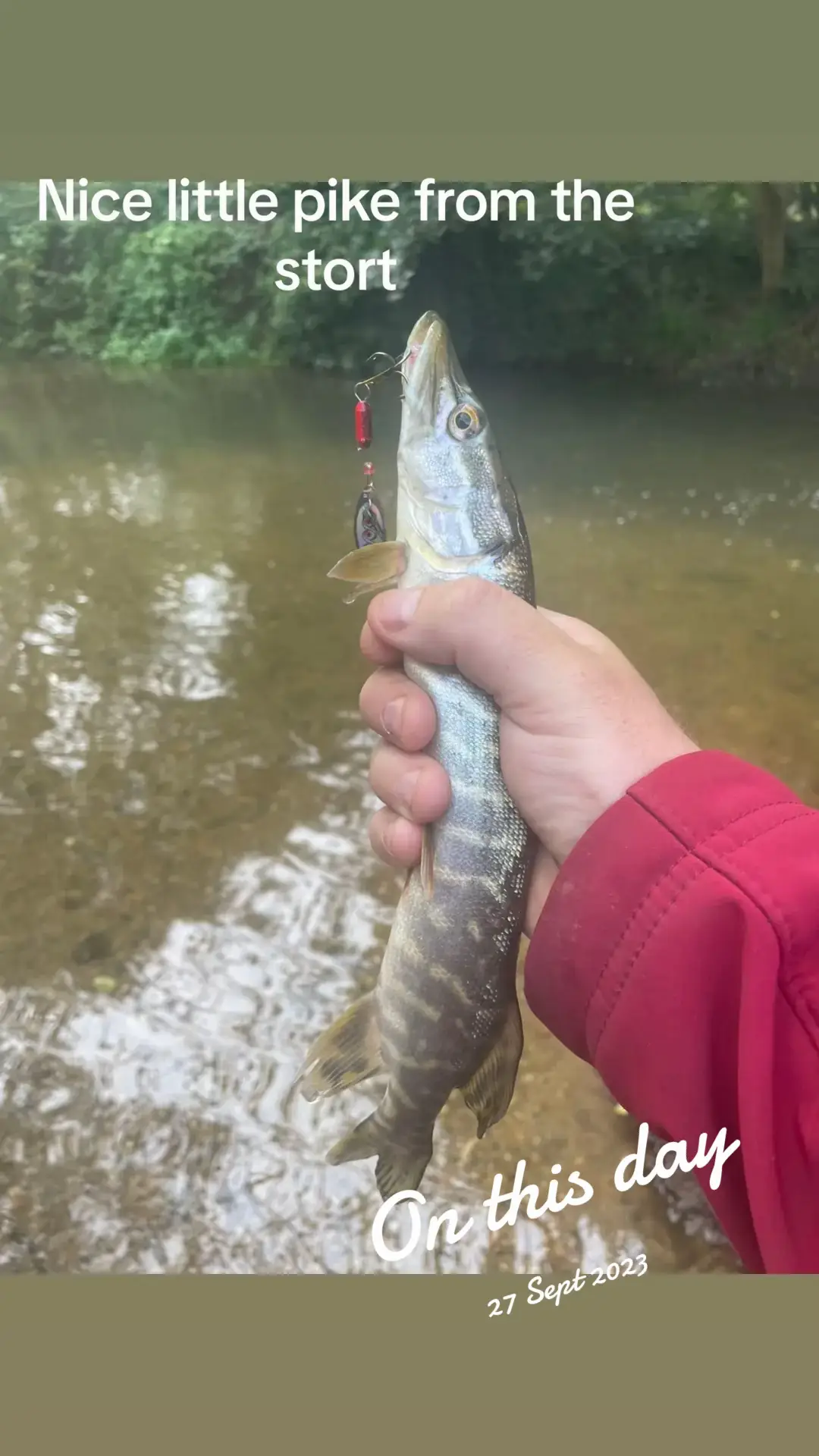 @Mental elf fishin