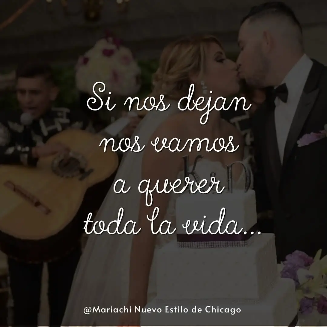 @Mariachi Nuevo Estilo Chicago