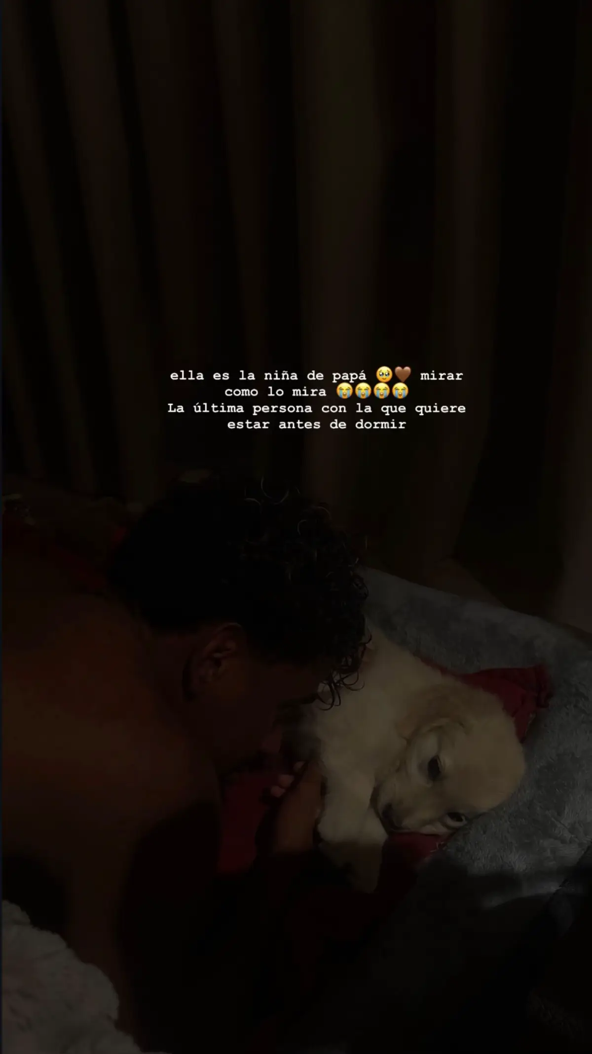 @thewagsdiary