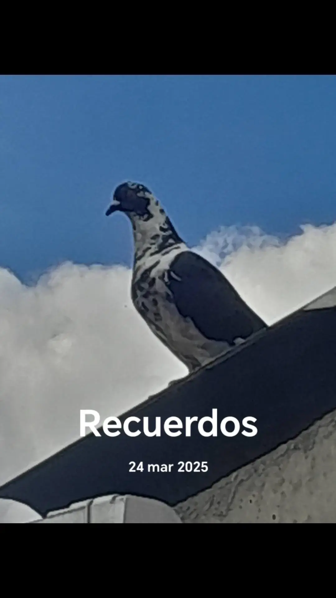 @CountryFredeColombia