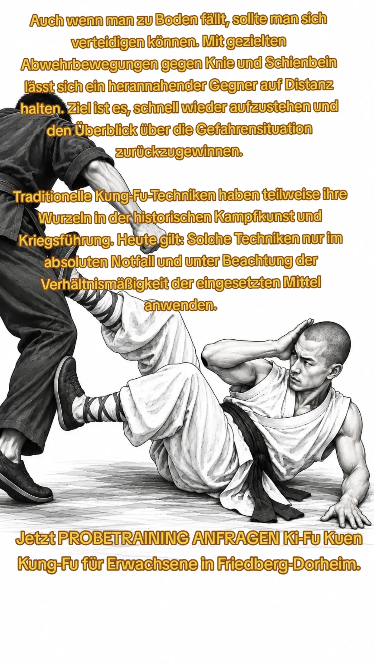 @Si-Fu von Ki-Fu®