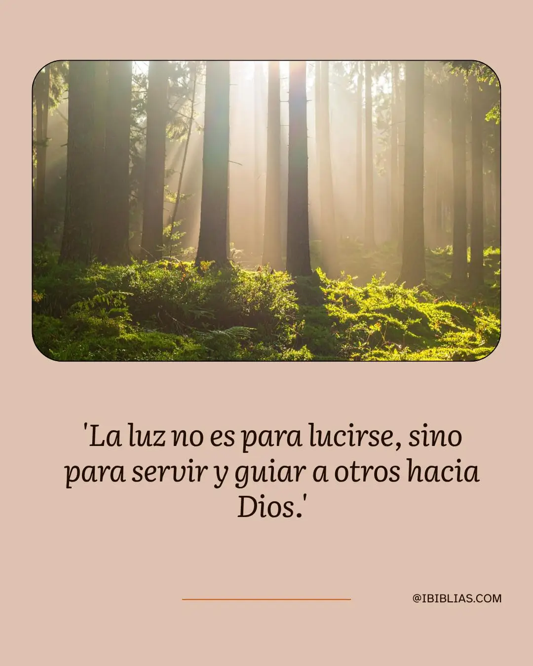 @IBIBLIAS