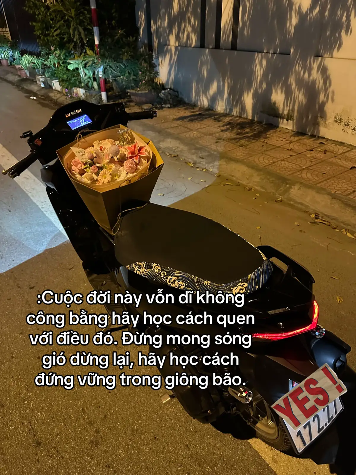 @𝑵𝒈𝒖𝒚𝒆̂̃𝒏 𝑩𝒂̉𝒐 𝑵𝒂𝒎