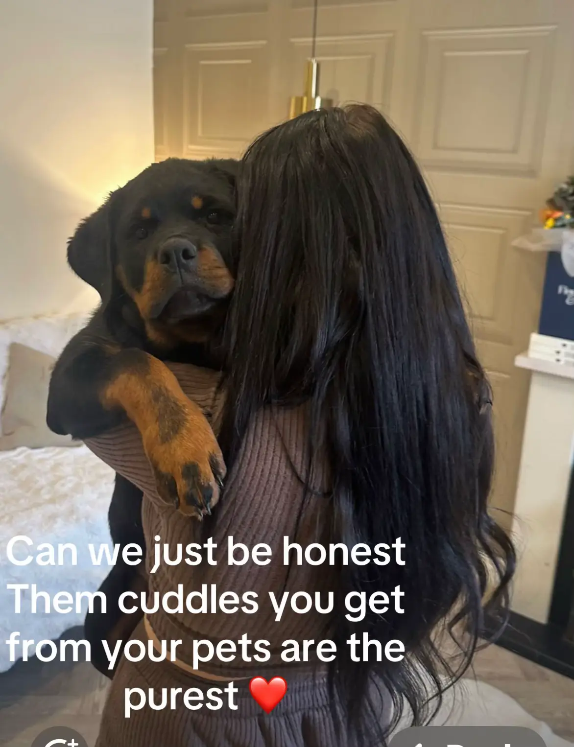 @Chloe Guatelli x