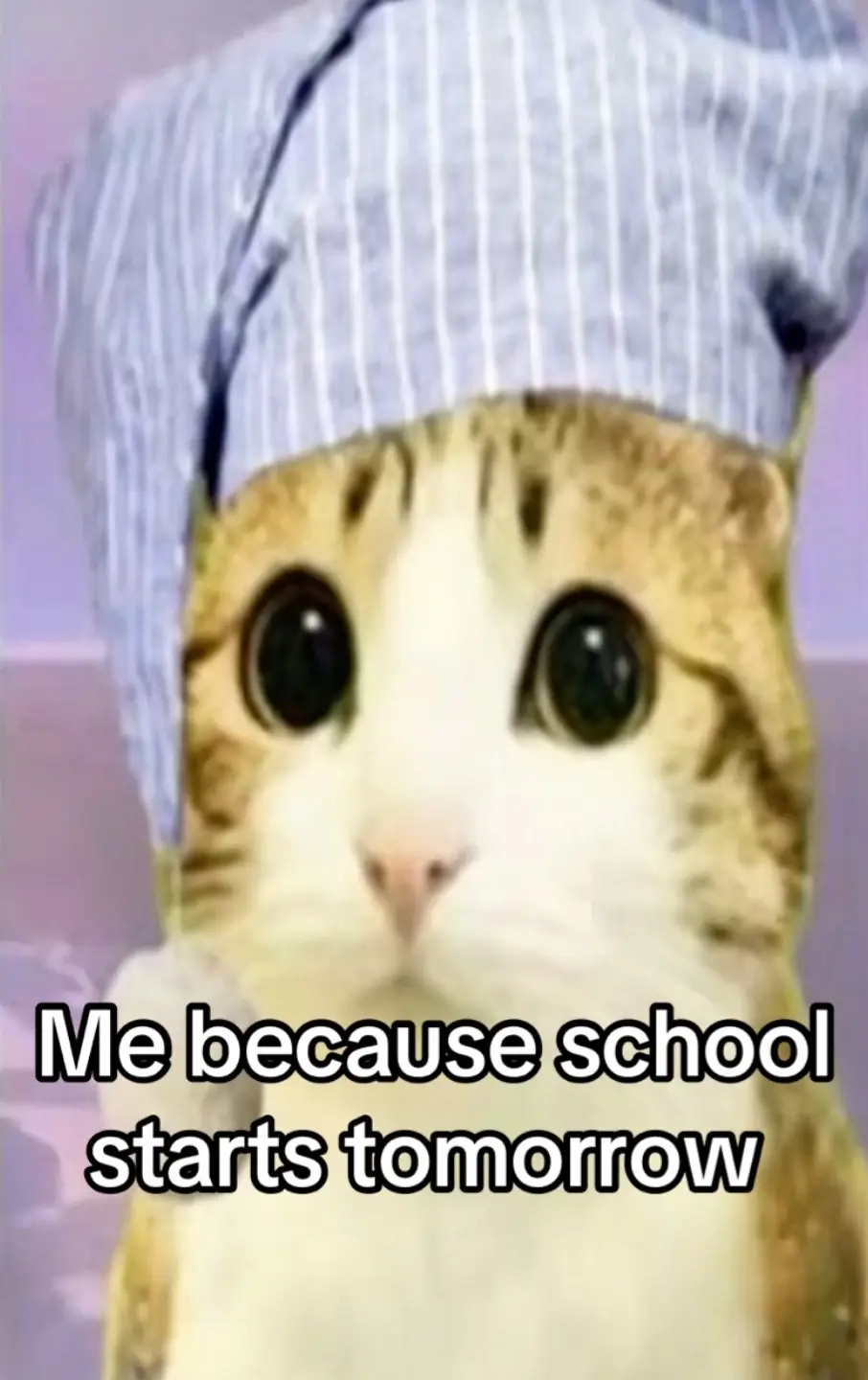 @Any meme