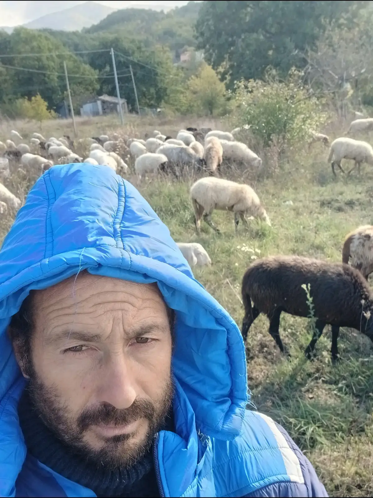 @Amato della vecchia
