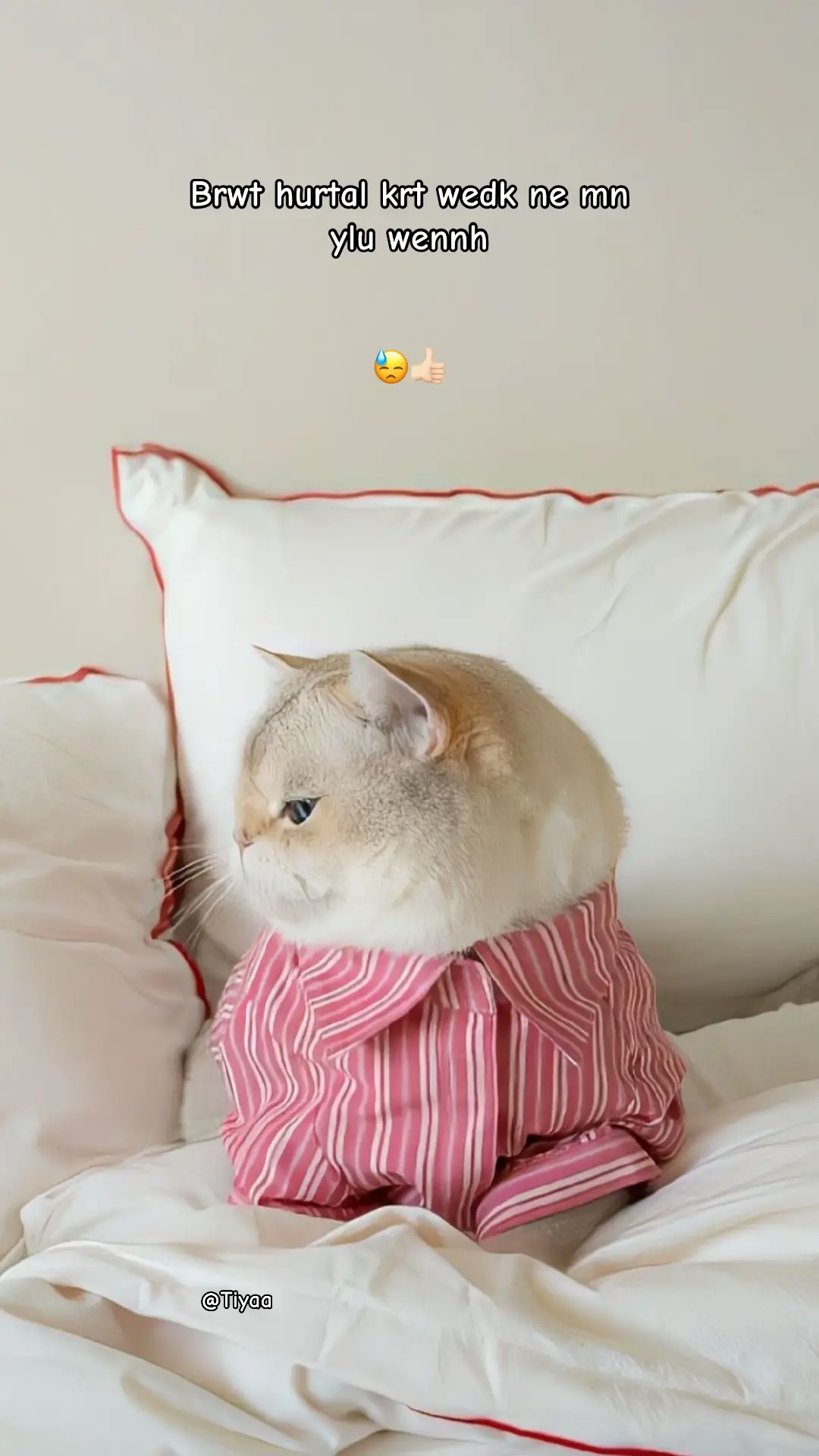 @🎀