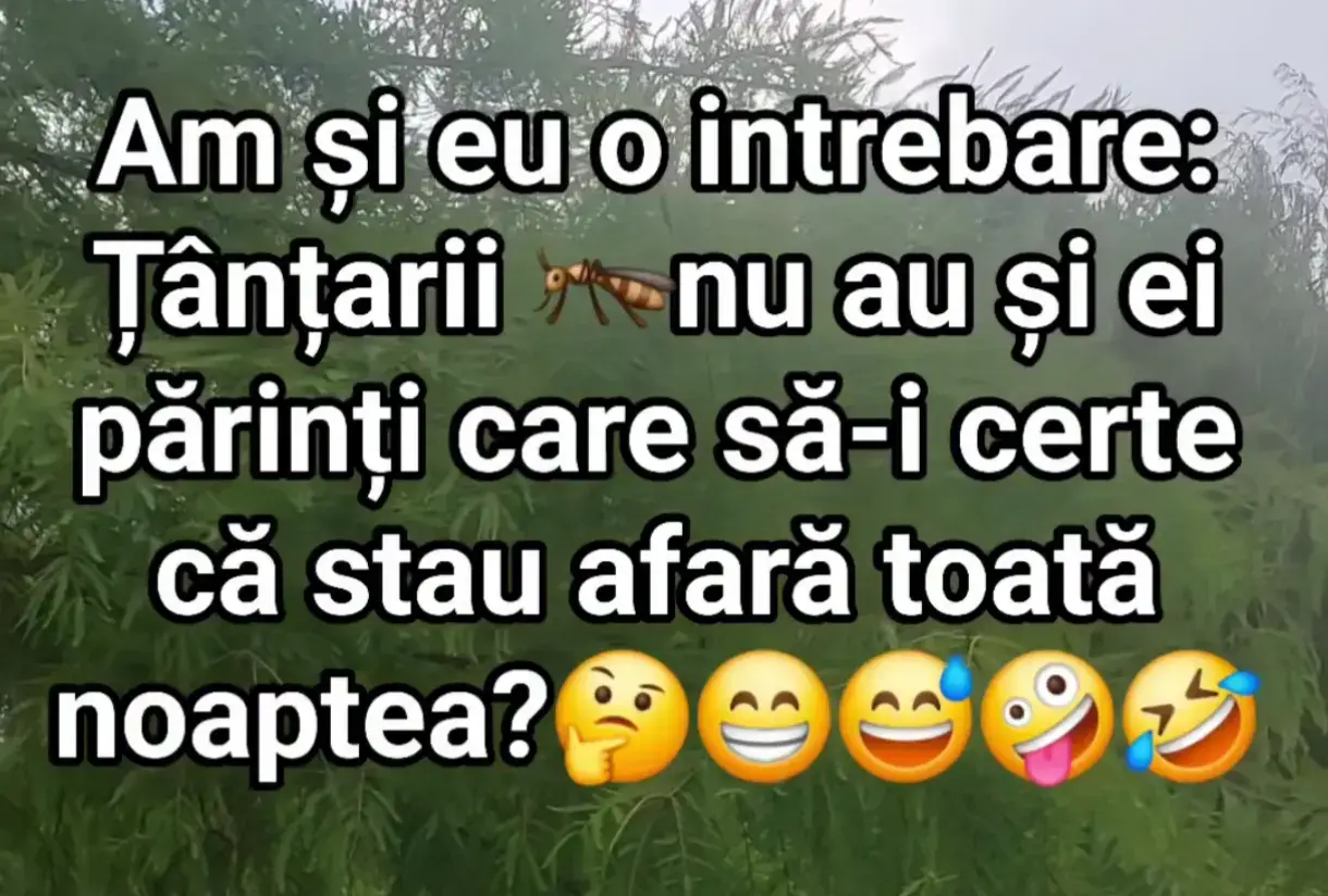@Anna 61panga