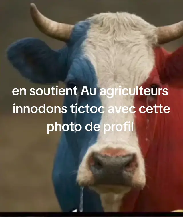 @Antoine frau