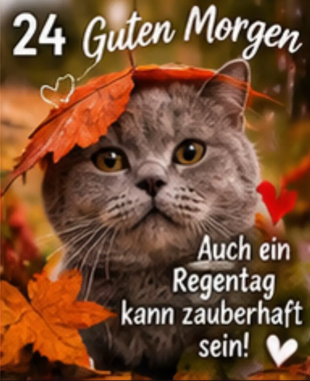 @Kirsten Ihde - Schnarr