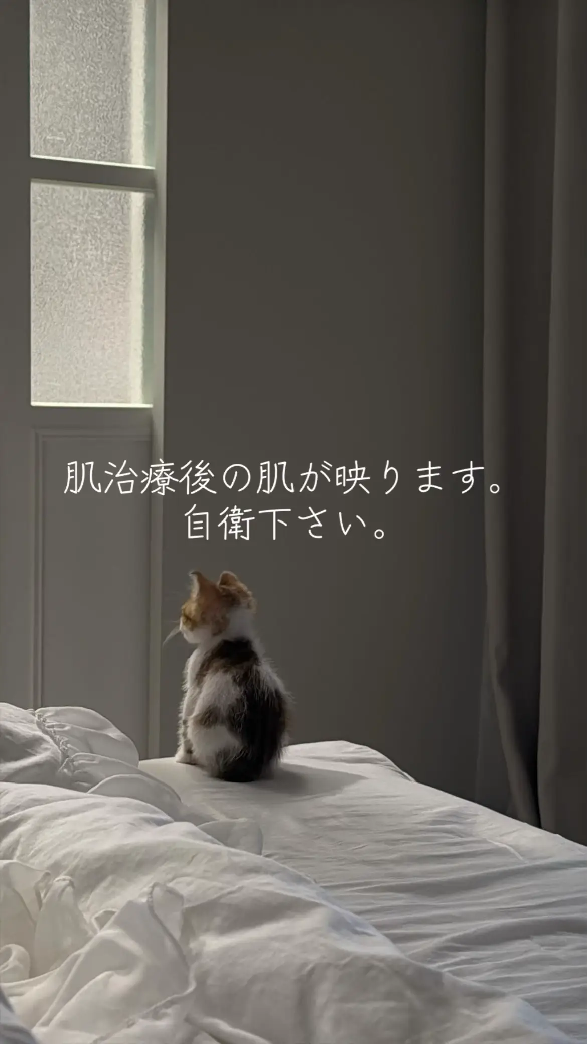 @ヒアルロン茶