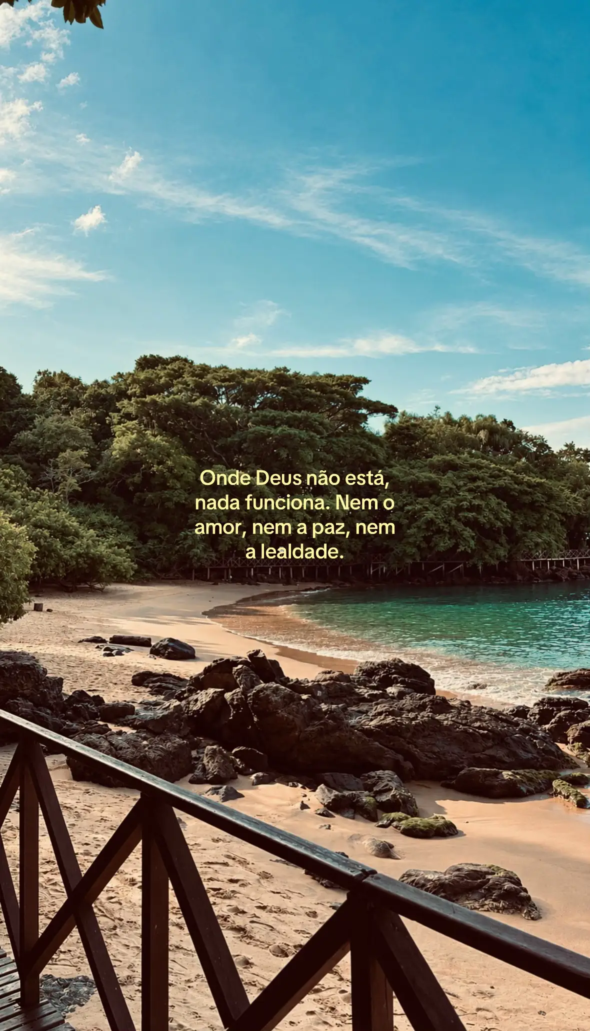 @Danielli Vaz☀️