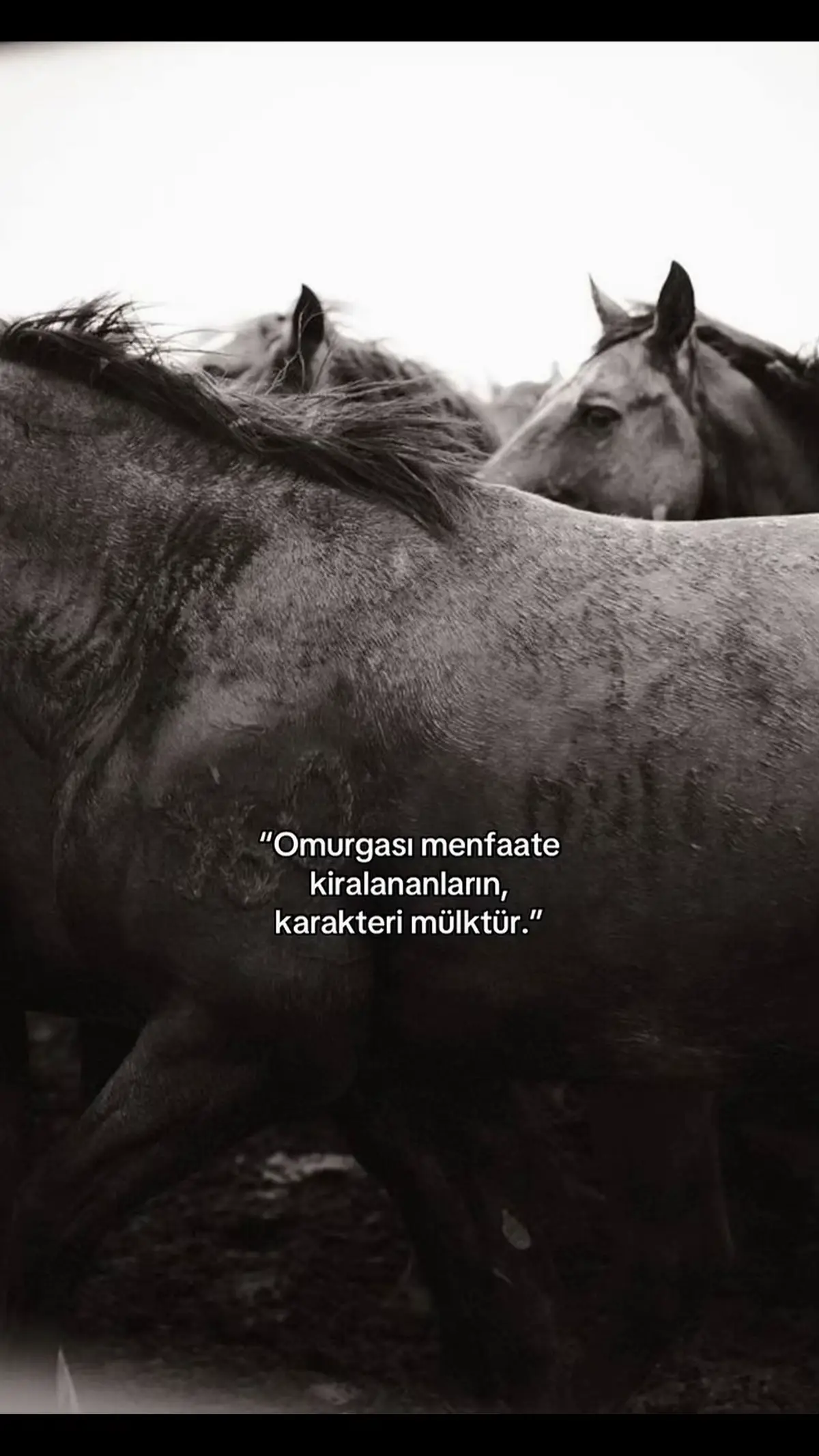 @B&uuml;lent ERKUŞ