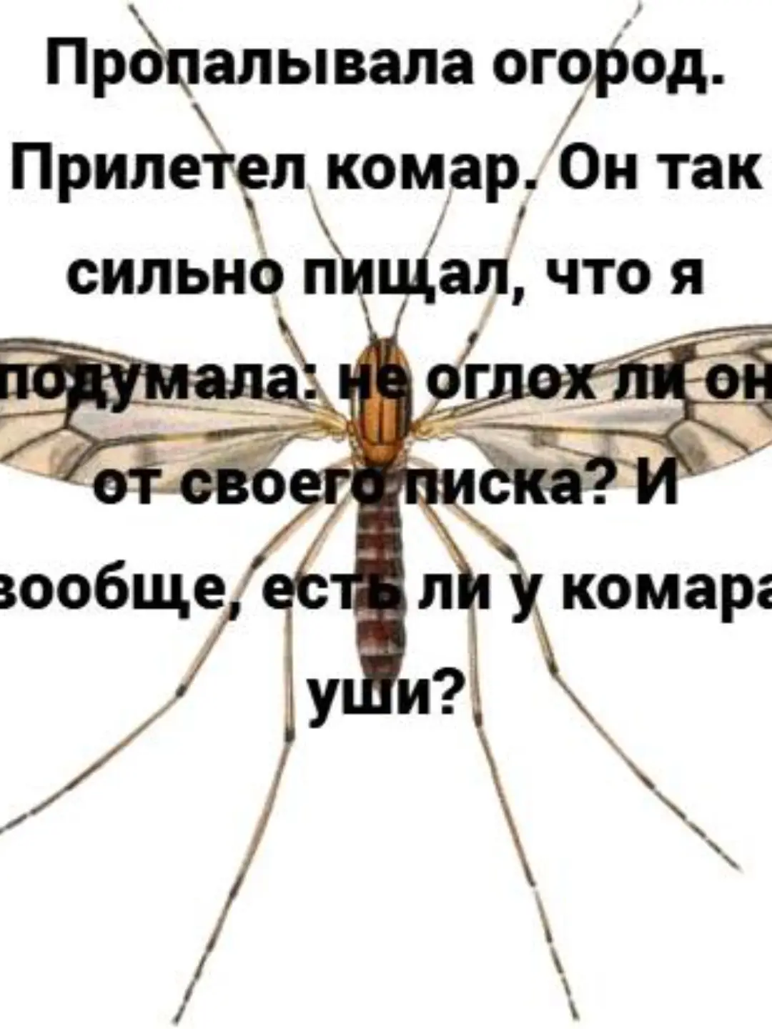 @УМКА