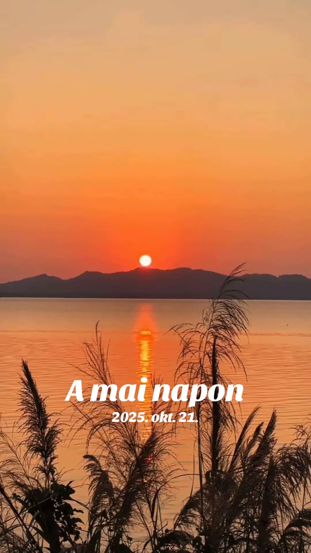 @⚫️ Anita ⚫️Sárközi