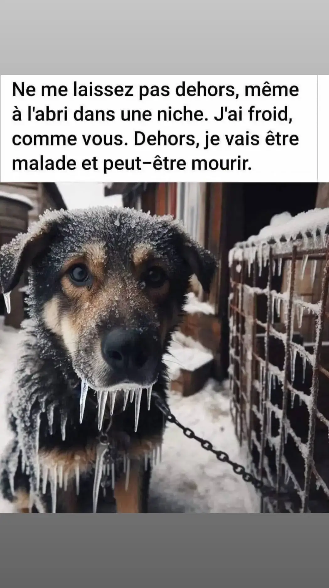 @Antoine frau