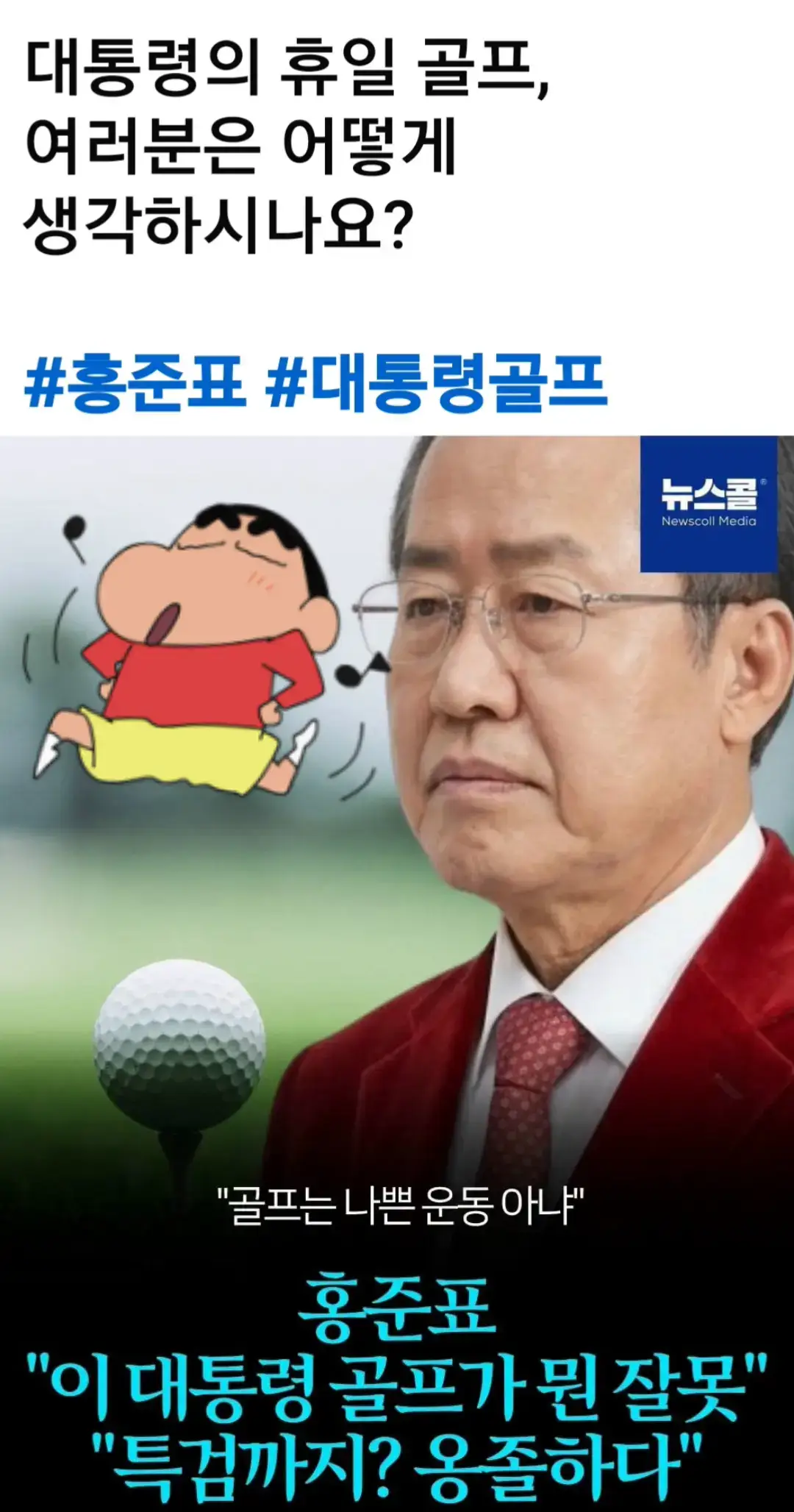 @🌺시라소니[본]🌺