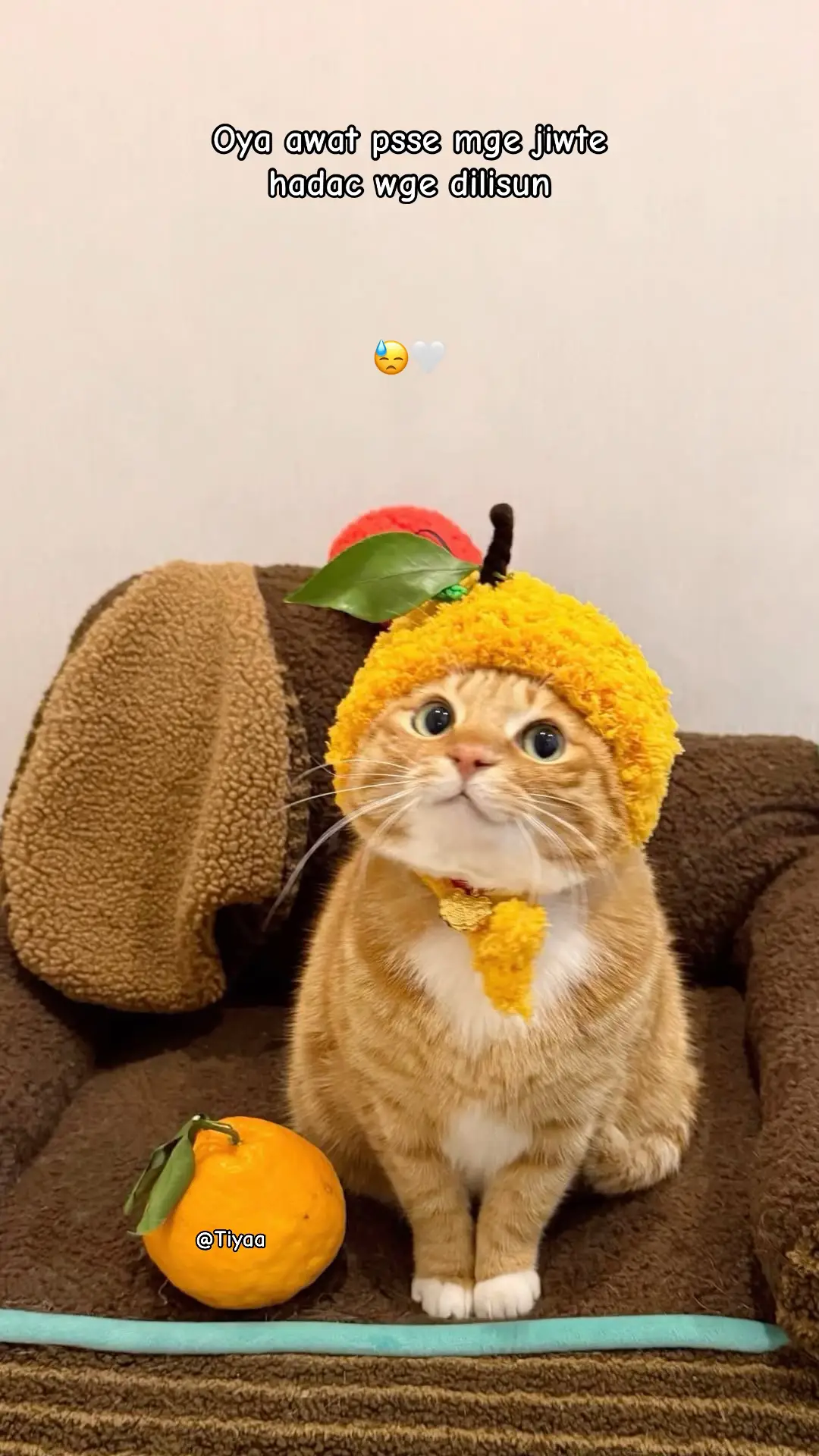@๐