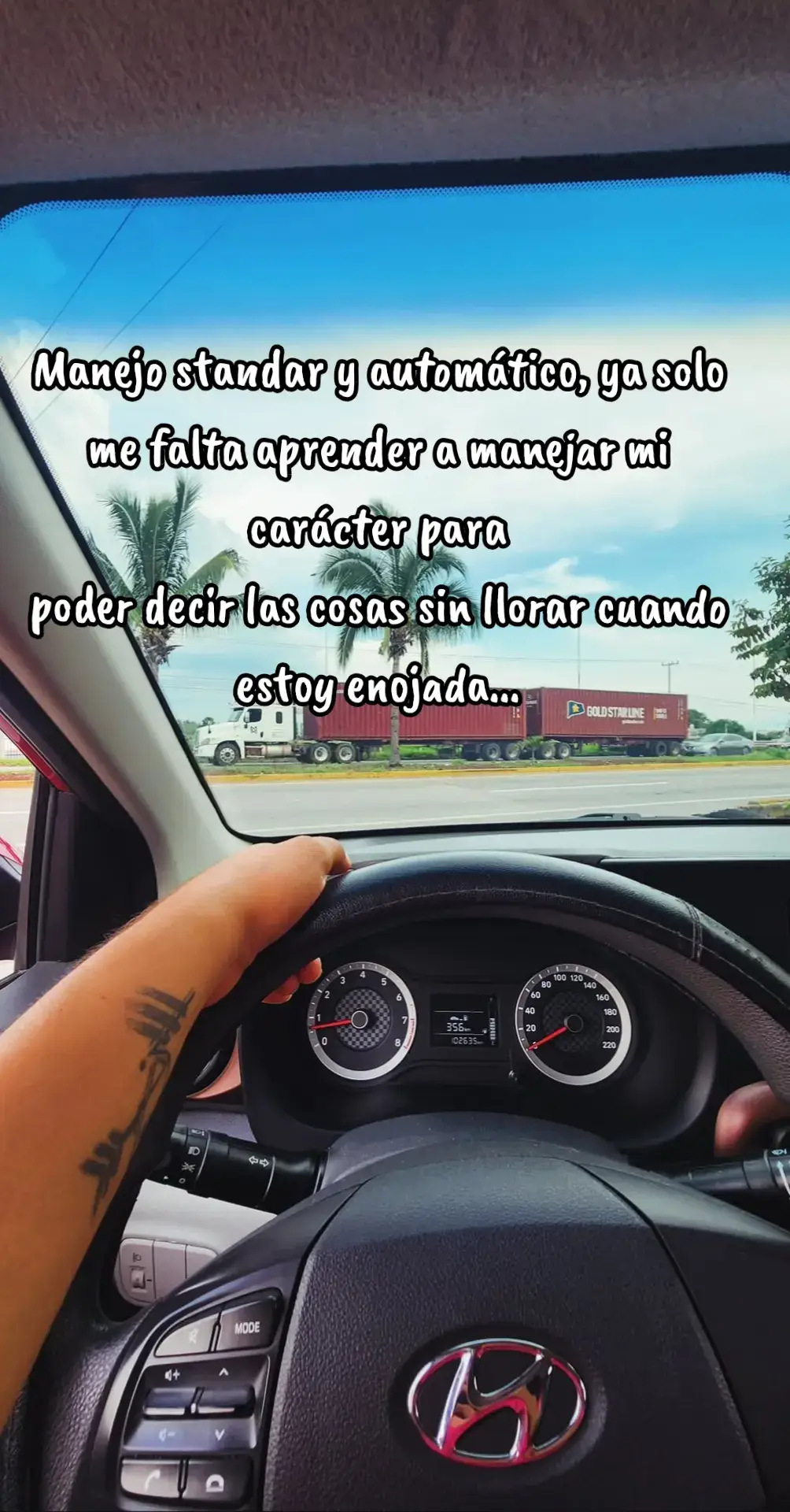 @Alejandra Romero