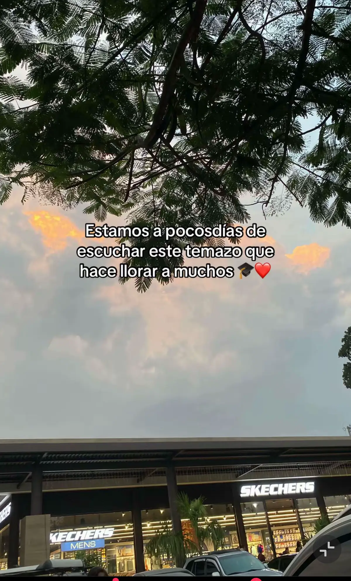 @Chinita. D.M
