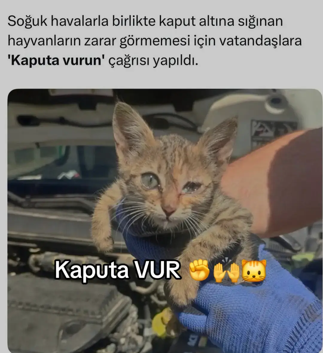 @HAYCAN MEDYA 🌐✔️