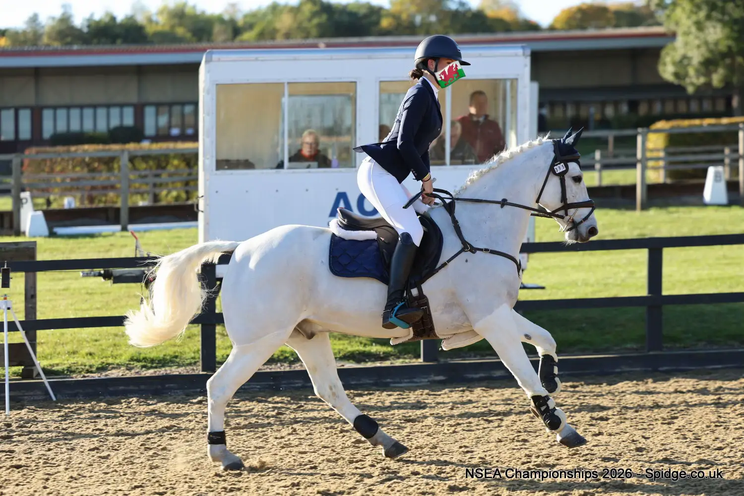 @amelia_showjumping2